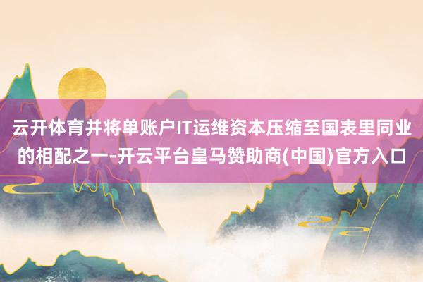 云开体育并将单账户IT运维资本压缩至国表里同业的相配之一-开云平台皇马赞助商(中国)官方入口