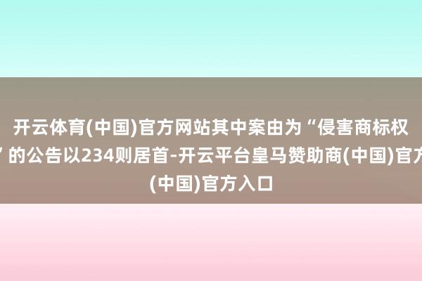 开云体育(中国)官方网站其中案由为“侵害商标权纠纷”的公告以234则居首-开云平台皇马赞助商(中国)官方入口