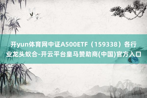 开yun体育网中证A500ETF（159338）各行业龙头蚁合-开云平台皇马赞助商(中国)官方入口
