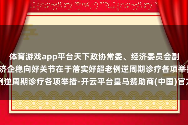 体育游戏app平台天下政协常委、经济委员会副主任马建堂：宏不雅经济企稳向好关节在于落实好超老例逆周期诊疗各项举措-开云平台皇马赞助商(中国)官方入口
